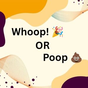 Whoop 🎉 or Poop 💩 Live Show Game Flyer